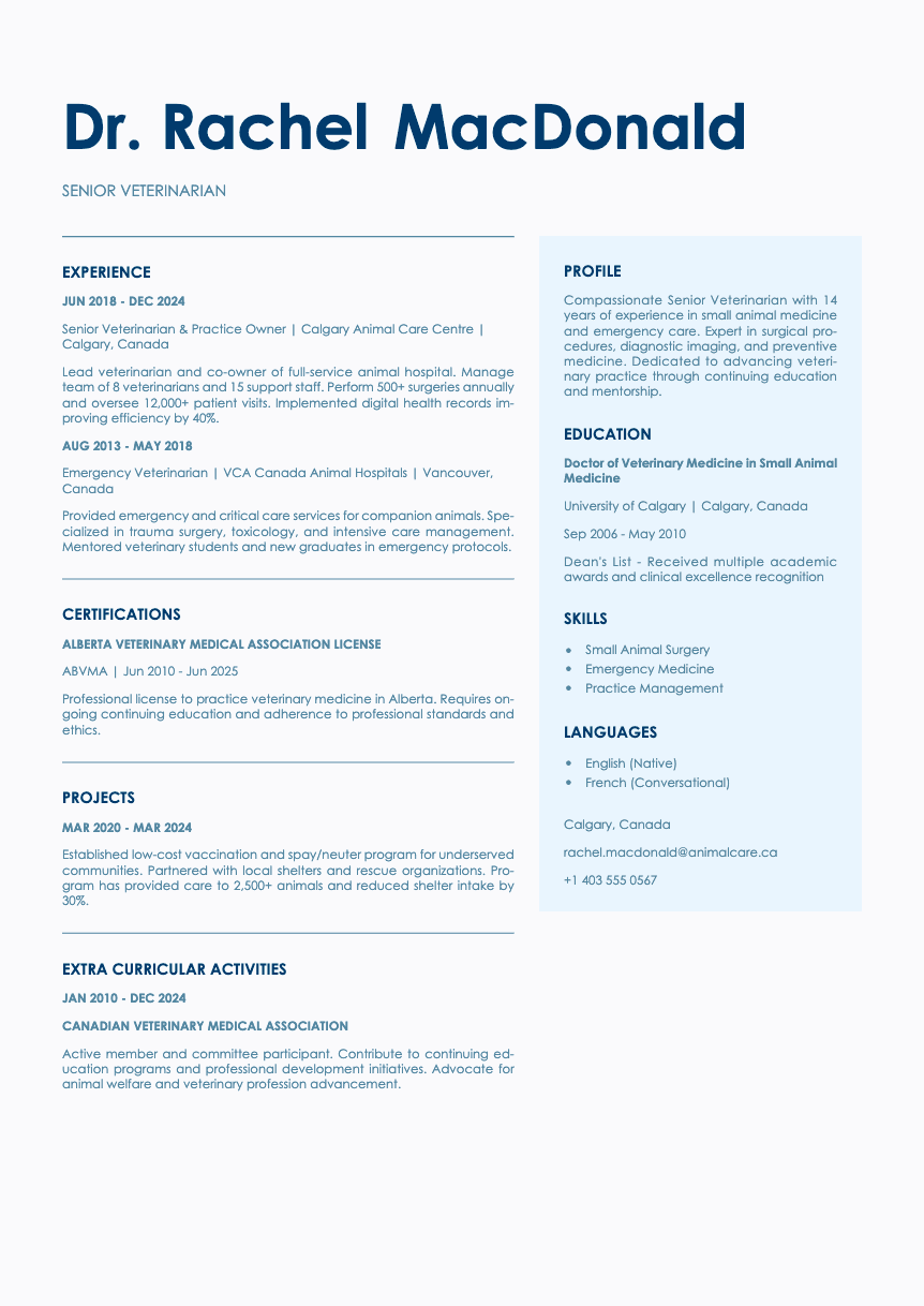 Bronze Resume Template